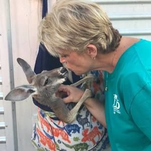 Meet your Posher, Joy